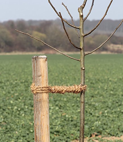 Kokos-Strick 200g Kokosgarn für Baumbindungen Bund Kokosseil zum anbinden von Bäumen und Sträuchern GREEN24® (ca. 200g ca. 14 m) - 2