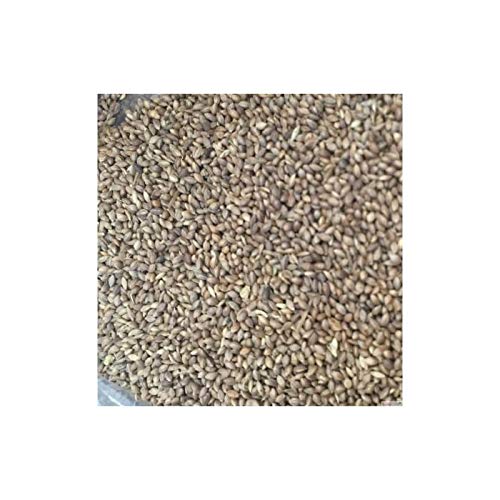 Foniopaddy Kikipro cubo 3 kg