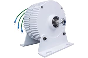 Genway 800W Permanentmagnet-Generator 12V 24V 48V Dynamo 650RPM Dreiphasen Freie Energie Wechselstrom-Generator Verwendung für Wasser-Windkraftanlage