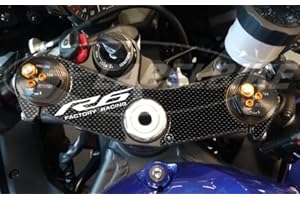 labelbike - Autocollant 3D pour Protection de Plaque de Fourche Moto Compatible avec Yamaha R6 à partir de 2017