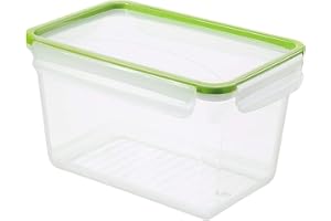 Rotho Clic & Lock Lata de comida fresca 3l con tapa y sello, Plástico (PP) sin BPA, transparente/verde, 3l (23.9 x 16.0 x 13.6 cm)
