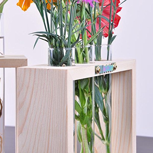 MagiDeal Kristall Reagenzglas Glas Vase In Holzständer Wand Hängen Für Blumen Pflanzen - 6
