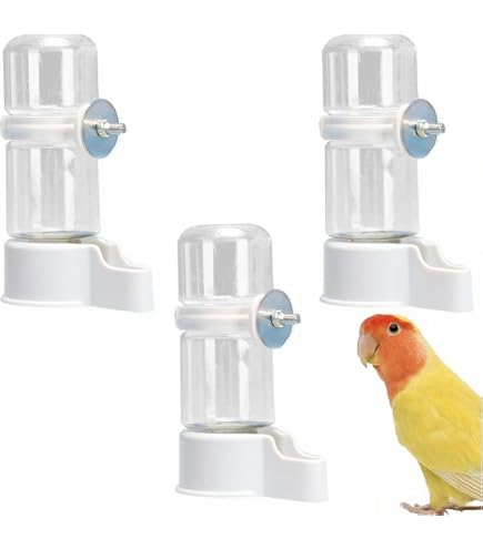 Wasserspender Für Vögel – Automatische Tränke Mit 140 Ml Fassungsvermögen Für Papageien, Kanarienvögel & Ziervögel
