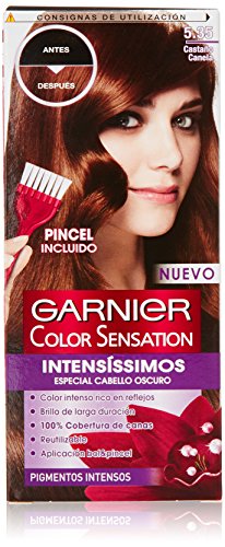 Garnier Coloración Color Sensation Nº 5.35-163 gr