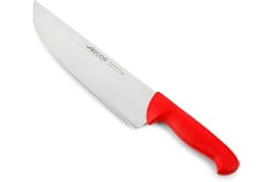 Arcos Coltello da Macellaio in Acciaio Inossidabile – Coltello da Cucina Professionale per Tagliare Carne, Pesce e Verdure – Manico Ergonomico in Poliossimetilene, Lama da 250 mm – Serie 2900, Blu