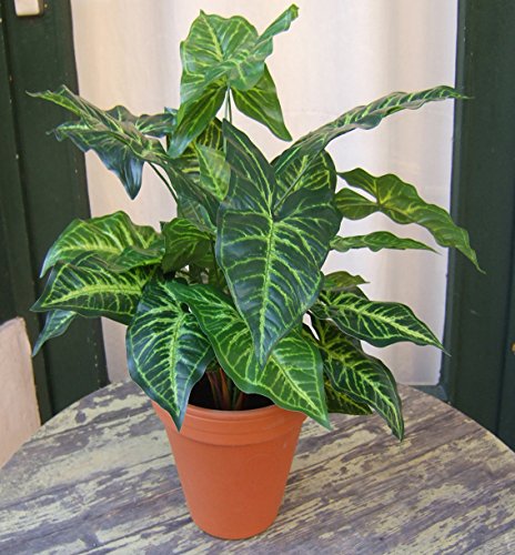 Künstliche Nephthytis Pflanze getopft ca. 45cm Top Qualität - 2