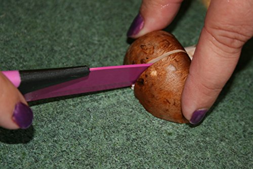 Küchen Messerblock Set mit Farbkodierung 5-tlg NUOVVA antihaftbeschichtetes Messerset Küche Brotmesser Fleischmesser Gemüsemesser Obstmesser Käsemesser - 9