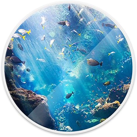 Expanding Cell Phone Holder Stand Grip Pop Mount Socket for Smartphones,iPhone,Tablets(Deep Sea Fish)