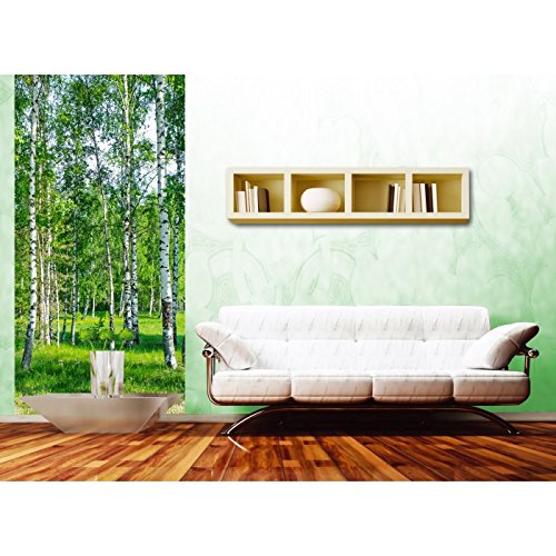 Vlies Fototapete – Birkenhain 110 x 220 cm - 3