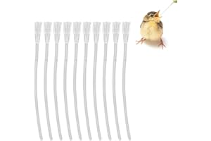 HQRKOTM 20 pezzi Alimentatore Pappagalli,Alimentatore Pappagalli Trasparente Uccelli Alimentazione Tubi Veloce Alimentazione Tubo per Bambino Pet Uccelli