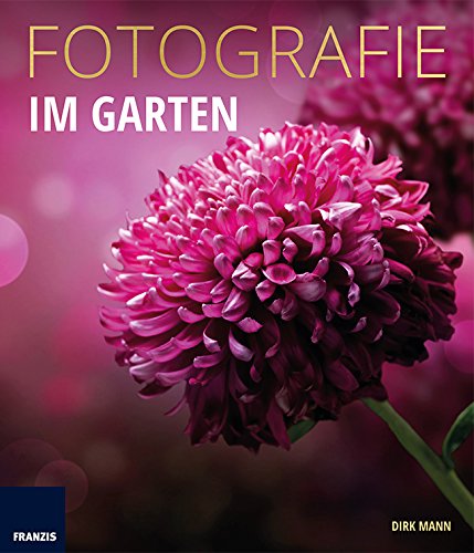 Download FOTOGRAFIE Im Garten Download FOTOGRAFIE Im Garten