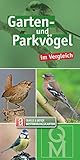 Garten- und Parkvögel: im Vergleich (Quelle & Meyer Bestimmungskarten) by 