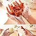250 Pair of Disposable Plastic Thicken Transparent Glove Coloring Treatment Gloves BBQ Sushi Food Handing Processing Gloves