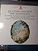 Produktbild Napolitan Concertos for mandolin (sec. XVIII): ETERARDI, Gian Francesco: Concerto for mandolin and string in D major (Echo) - CAUDIOSO, Domenico: Concerto for mandolin and string in G major --GIULIANO, Giuseppe: Concerto for mandolin and string in G major - GABELLONE, Gaspare: Concerto for mandolin and string in F major -- ERATO () Printed in Italy ---Vinyl LP-ERA 70684-ETERARDI Gian Francesco (XVIII Sec); GIULIANO Giuseppe (Italia); GABBELLONE "CABALLONE" Gaspare (Italia); CAUDIOSO Domenico