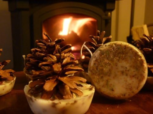 Kindlecone - Natural pine cone firelighters - Winter Spice - Box of 6