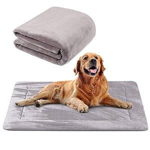 Hero Dog Colchoneta Grande Suave para Perros – 100% Lavable A Máquina, Colchón Antideslizante De Color Intenso (M(90 x 60 CM), Café)