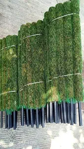 planatzee Moss Stick for Climbing House Plants - 2.5ft pack of 3