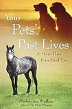 Your Pets' Past Lives: & How They Can Heal You by Madeleine Walker