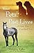 Your Pets' Past Lives: & How They Can Heal You by Madeleine Walker