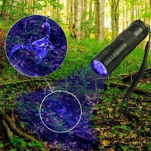 Vansky® UV Schwarzlicht Taschenlampe mit 12 LEDs | Haustiere Urin-Detektor für eingetrocknete Flecken Ihrer Hunde, Katzen und Nagetiere auf Teppichen, Vorhänge, Gardinen, Möbel und anderen Stoffen | inkl. 3xAAA-Batterien - 6