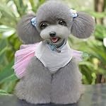 Generic-Cucciolo-Cane-Principessa-Vestito-Gonna-Di-Pizzo-Abiti-Cappotto-Giacca-Cosplay-Costumi