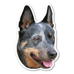Australian Cattle Dog Magnet
