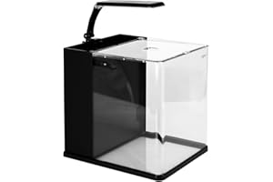 Aqpet Acquario in Vetro per Pesci Tropicali Dolce e Marino Completo di Filtro Illuminazione Led e materiali Filtranti, 19 Litri, 25x27x27 cm