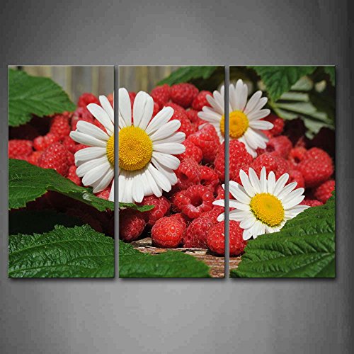 Download Red Raspberry And White Flower Yellow Stamen Wall Art Painting Pictures Print On Canvas Food The Picture For Home Modern Decoration
