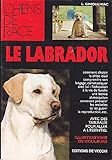 Le labrador