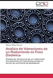 Image de Análisis de Vibraciones de un Rodamiento en Fase Dinámica: Análisis de vibraciones de un rodamiento con ele