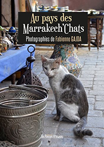 Download Au Pays des Marrakech'Chats