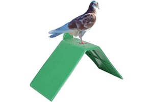 CYRANK 10pcs Pigeon Break Rack, Petit Pigeon Break Rack Pigeon perchoir, Plastique Pigeon perchoir Coq perchoir léger Pigeon Break Rack Oiseaux perchoir Support Cage Accessoires Oiseaux Fournitures (Vert)