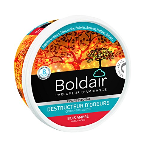 BOLDAIR Pot 300g Gel destructeur dodeurs bois ambre