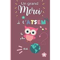 Buy SUPER ATSEM Une Année Compliquée Mais Tu As Assuré: Cadeau