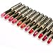 Fortan 12pcs/lot Lipsticks Lip Stain Makeup Lot Leopard Moisturizing Lip Stick Set