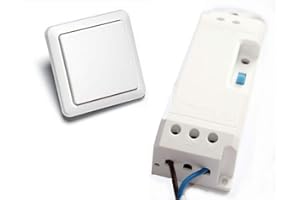 WeBaSo Intertechno YWT-8500 Funk-Türöffner-Modul inkl. Funk-Wandsender – Ergänzung für bestehenden elektrischen Türöffner (benötigt bereits vorhandenen Türöffner)