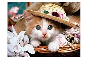 ISEE 360 Wallpaper Animal Posters Canvas for Kids Room Long Walls Living Room Bedroom Kitchen Furniture Kids Boys Girls Cat Princess Sticker L X H 12 X 12 Inches