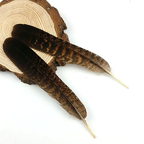 JPSOR 12 Stück Natürliche naturfarben Adler Feder, 6-8 Inch, für Kunstwerk Dekoration - 5