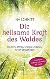 Image de Die heilsame Kraft des Waldes: Die Sinne öffnen, Energie schöpfen, zu sich selbst finden. Entdecke