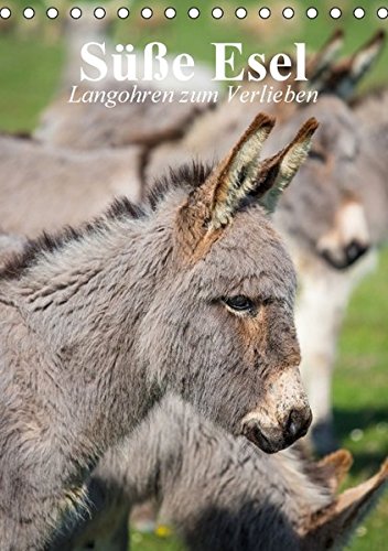 Süße Esel. Langohren zum Verlieben (Tischkalender 2016 DIN A5 hoch): Langohrige Sturköpfe im grauen Kuschelfell (Planer, 14 Seiten ) (CALVENDO Tiere)