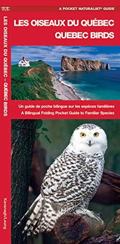 Télécharger Les Oiseaux du Quebec / Quebec Birds: Un guide de poche bilingue sur les especes familieres / A Bili Livre eBook France