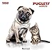 Puglets 2015 (Wonderful World) by
