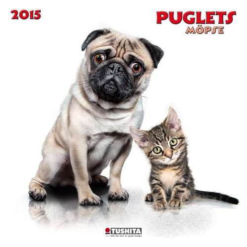 Puglets 2015 (Wonderful World)