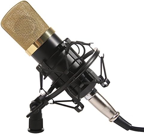 Dolotu BM Series Dynamic Condenser Microphone Sound Studio Recording Mic+ Shock Mount + Microphone Windshield- Professional Studio Broadcasting &amp; Recording Microphone SetEnjoying Singing Speaking High Party (BM700, Black)