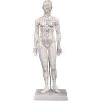 Modèle Anatomique Acupuncture Corps Humain 40/52cm – Méridiens Hommes/femmes, 2 Couleurs