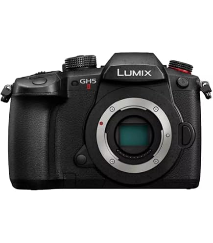 Panasonic Lumix C-GH5-12-60/2.8-4.0 Leica DG Vario Elmarit