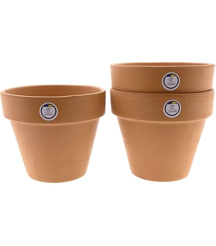 Plantes D'intérieur Dans Des Pots Décoratifs En Céramique Marron Dessin Vectoriel Colorier 935214 24