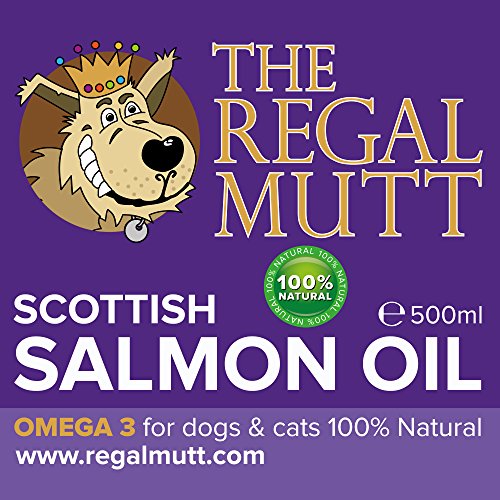 The-Regal-Mutt-500-ml-Salmon-Fish-Oil-for-Dogs--Charity-Donation-to-Four-Paws-Animal-Rescue--100-Natural-Nutritional-Supplement--Pure-Premium-Scottish-Salmon-Oil--Promotes-Coat-Joint-Brain-Health--100