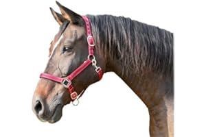 Covalliero, Kerbl Mustang-Cavezza per Cavallo, Taglia 1, Colore: Nero/Argento Unisex-Adulto