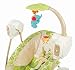 Fisher-Price Space Saver Swing and Seat, Rainforest